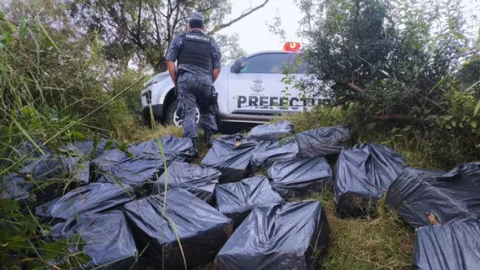 Incautación de contrabando de cigarrillos en Salto