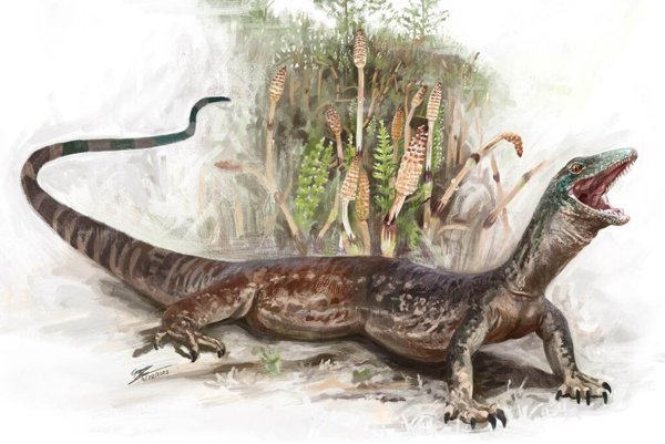 Descubren fósil jurásico que desafía la frontera entre serpientes y lagartos